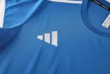 2025/26 AD Blue Training Jersey(A Set)