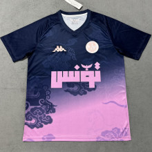 2025 Tunisia Special Edition Fans Soccer Jersey  突尼斯
