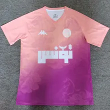 2025 Tunisia Special Edition Fans Soccer Jersey  突尼斯