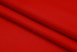 2025/26 Flamengo Red Training Jersey(A Set)