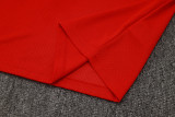 2025/26 Flamengo Red Training Jersey(A Set)