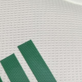 2025/26 Algeria Special Edition Player Version Jersey 浅绿色