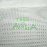 2025/26 Algeria Special Edition Player Version Jersey 浅绿色