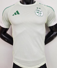 2025/26 Algeria Special Edition Player Version Jersey 浅绿色
