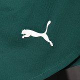 2025/26 Portugal Home Red Player Version Shorts Pants 球员版