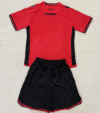 2025/26 Albania Home Red Kids Soccer Jersey 阿尔巴尼亚