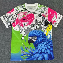 202526 Brazil Special Edition Fans Soccer Jersey