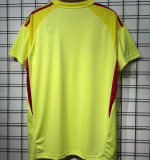 2025/26 Celtic Goalkeeper Fans Soccer Jersey
