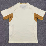 2025/26 Colorado Rapids Training Soccer Jersey 科罗拉多