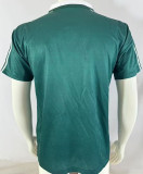 1995/96 Panathinaikos Home Green Retro Soccer Jersey