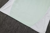 2025/26 AD Light Green Training Jersey(A Set)