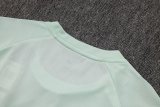 2025/26 AD Light Green Training Jersey(A Set)