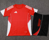 2025/26 AD Red Training Jersey (A Set)