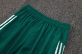 2025/26 AD Light Green Training Jersey(A Set)
