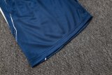 2025/26 AD Blue Training Jersey(A Set)