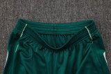 2025/26 AD Light Green Training Jersey(A Set)