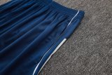 2025/26 AD Blue Training Jersey(A Set)