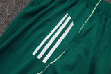 2025/26 AD Light Green Training Jersey(A Set)