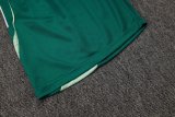 2025/26 AD Light Green Training Jersey(A Set)