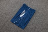 2025/26 AD Blue Training Jersey(A Set)