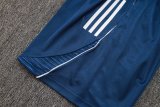 2025/26 AD Blue Training Jersey(A Set)