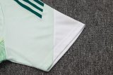 2025/26 AD Light Green Training Jersey(A Set)