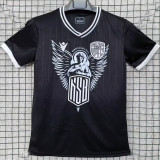 2025/26 Carl Zeiss Jena Special Edition Fans Soccer Jersey