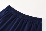 2025/26 NK~  Sapphire Blue Training Jersey(A Set)