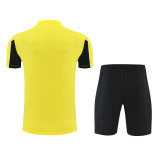 2025/26  BVB Yellow Training Jersey(A Set)