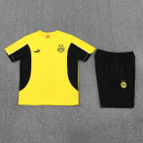 2025/26  BVB Yellow Training Jersey(A Set)
