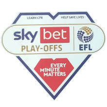 EFL CHAMPIONSHIP Ptach 2025/26 右袖 英冠臂章    (You can buy it Or tell me to print it on the Jersey )