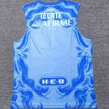 2025/26 Tigres Away Vest Jersey