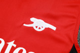 2025/26 ARS Red Vest Training Jersey(A Set)