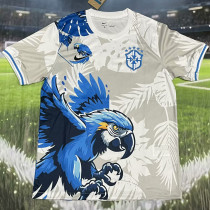 2025/26 Brazil Special Edition Fans Soccer Jersey