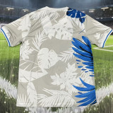 2025/26 Brazil Special Edition Fans Soccer Jersey