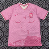 2025/26 Brazil Special Edition Fans Soccer Jersey