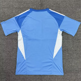 2025/26 Newcastle Blue GK Fans Soccer Jersey