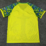 2025/26 Brazil Special Edition Fans Soccer Jersey