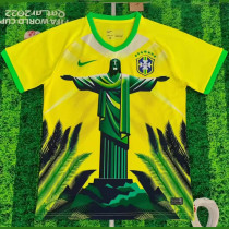 2025/26 Brazil Special Edition Fans Soccer Jersey