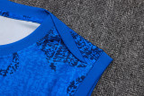2025/26 France Vest Training Jersey(A Set)