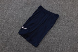 2025/26 France Vest Training Jersey(A Set)