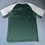2025/26 Panathinaikos Home Green Fans Jersey  希超 帕纳辛奈科斯