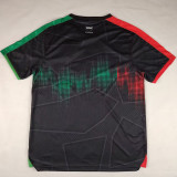 2025/26 FC Palestine Fans Soccer Jersey  英文