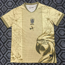 2025/26 Brazil Special Edition Fans Soccer Jersey