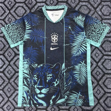 2025/26 Brazil Special Edition Fans Soccer Jersey
