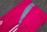 2025/26 Flamengo Rose Red Training Jersey(A Set)