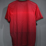 2014 Portugal Home Red Retro Player Version Soccer Jersey 球员版