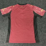 2025/26 Galatasaray Third Fans Soccer Jersey 5 Stars 5星  有胸前广告