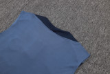 2025/26 PSG light Gray Vest Training Jersey(A Set)