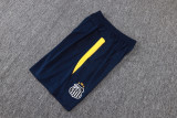 2025/26 Santos Dark Blue Vest Training Jersey(A Set)